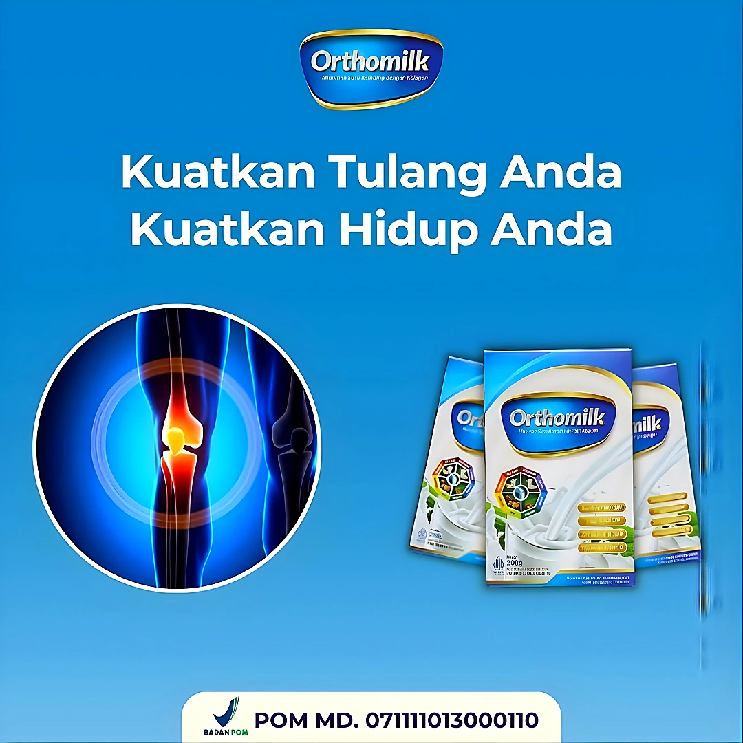 Kuatkan Tulang Anda Kuatkan Hidup Anda Anatomi Lutut